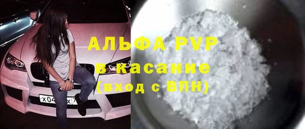 индика Балахна