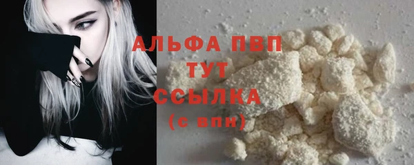 индика Балахна