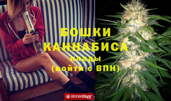 индика Балахна