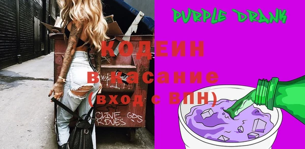 индика Балахна