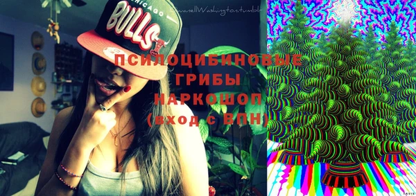 индика Балахна