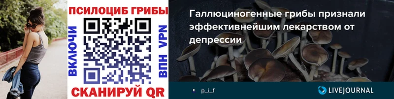 Псилоцибиновые грибы ЛСД  где купить   MEGA вход  Томмот 