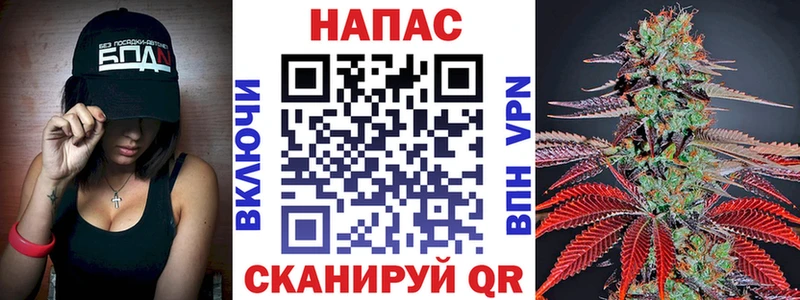 Бошки Шишки Ganja  наркота  Томмот 